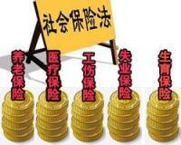 專業(yè)社保代理代辦服務(wù) 為企業(yè)與個人提供全方位社保解決方案